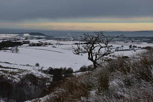 High angle view of snow covered hills and fields with bare trees and wintry sky