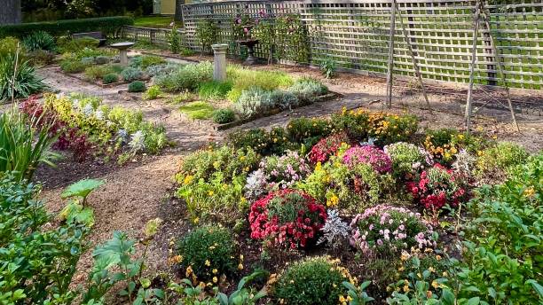 istock Garden in the Autumn 1687248185