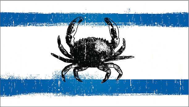 grunge summer flag with crab vector art illustration