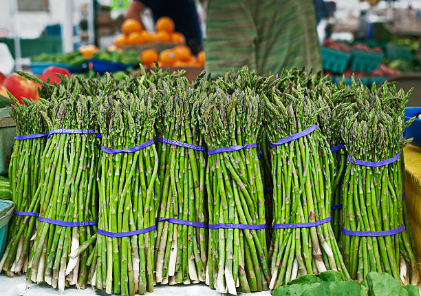 Line up of asparagus bunches