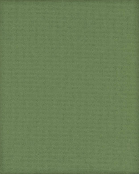 istock Green textured handmade paper 168725920