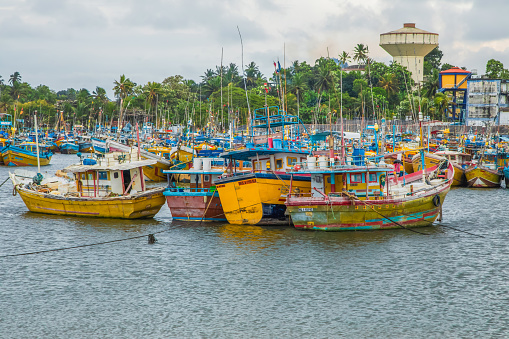 Beruwala, Sri Lanka 03 February 2023. Fishing boats stand in Beruwala Harbour. bright colored traditional sri lankan fishing boats stand on yellow sandy ocean shore