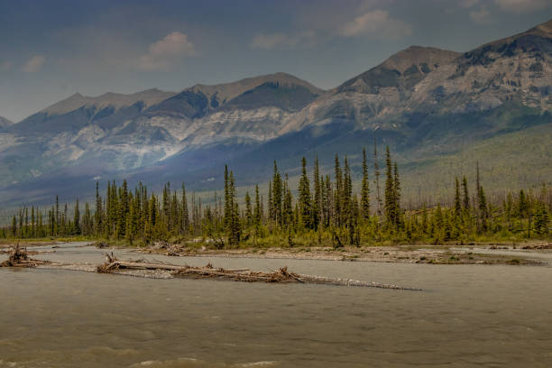 istock Simpson river flows uo and down stream Kootenay National Park British Columbia Canada 1687268120
