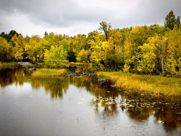 istock Lush autumn foliage along lakeshore 1687268126