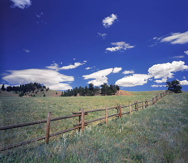 istock Wyoming Meadow and Fence 168726948