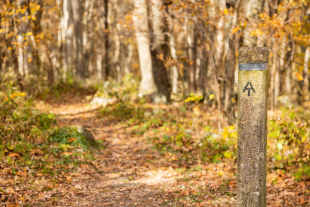 istock Autumn Hiking Trail in a National Forest 1687273923