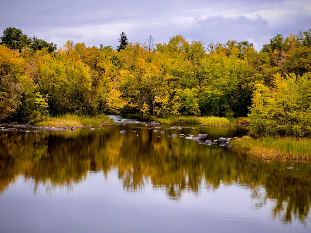 istock Lush autumn foliage along lakeshore 1687280904