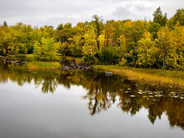 istock Lush autumn foliage along lakeshore 1687280909