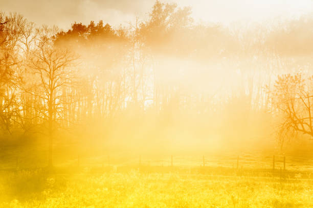 niebla de la mañana en el país lado - landscape landscaped tennessee mist fotografías e imágenes de stock