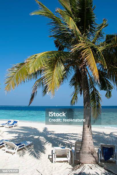 Scena Della Spiaggia Alle Maldive - Fotografie stock e altre immagini di Acqua - Acqua, Ambientazione esterna, Blu