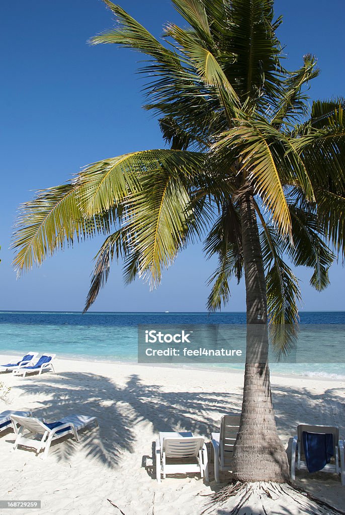 Мальдивы Пляж сцена - Стоковые фото Без людей роялти-фри