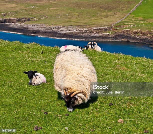 Scottish Scenerii - zdjęcia stockowe i więcej obrazów Argyll - Argyll, Bez ludzi, Europa - Lokalizacja geograficzna