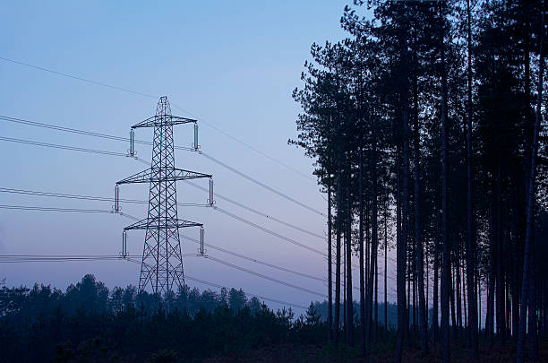 New Forest Pylon and Trees stock photo