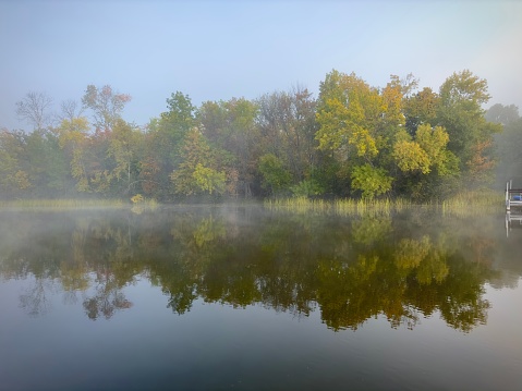 Autumn colored leaves changing  color on trees reflecting in water in early morning fog. Misty dawn