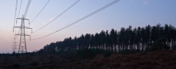 Panoramic Landscape of Electricity Pylons and Forest stock photo