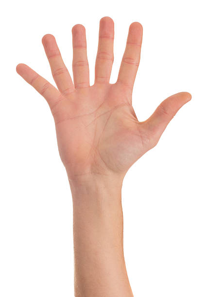 istock Close-up Of Human Hand 168730124