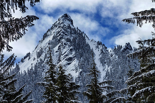 istock McClellan Butte Snow Mountain Peak Through Trees Snoqualme Pass Washington 168731170