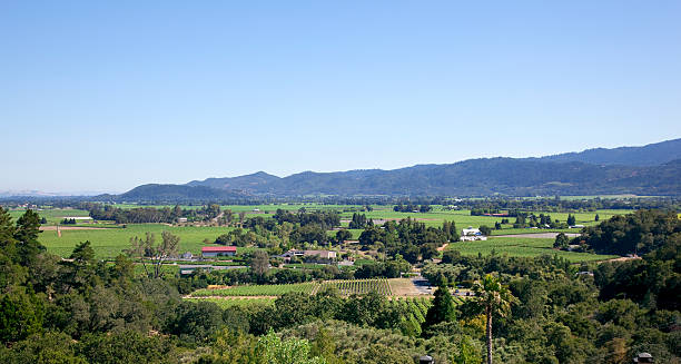 istock View of Napa Valley 168731205