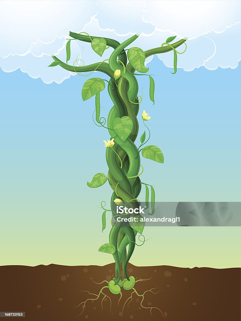 The beanstalk Vector illustration of a bean stalk on the fairy tale Jack and the Beanstalk. The concept of growth Beanstalk stock vector