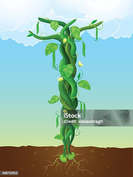 The Beanstalk Stock Illustration - Download Image Now - Beanstalk, Bean, Plant Stem