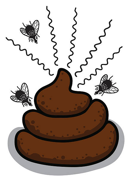 Flies and shit three flies fly on an excrement Shit Fly stock illustrations
