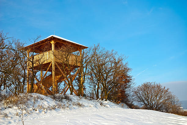 istock Watchtower in snowy winter landscape 168733423