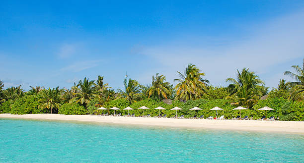 Maldives Beach Resort stock photo