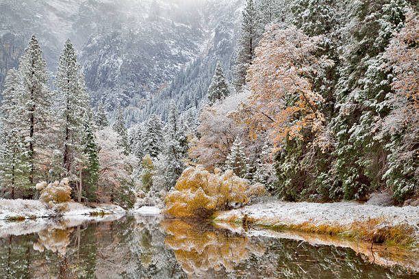 Merced River Reflections stock photo