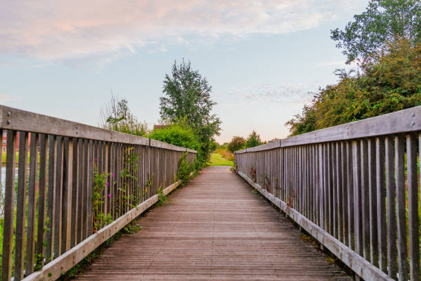 Wooden bridge in the park