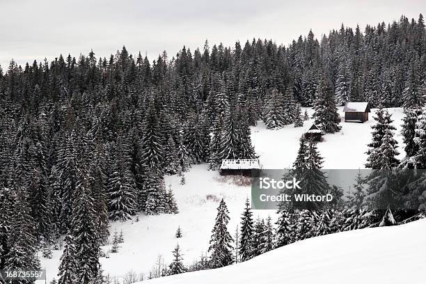 Photo libre de droit de Recouvert De Neige Dans Les Montagnes De Tatra Cottage banque d'images et plus d'images libres de droit de Arbre