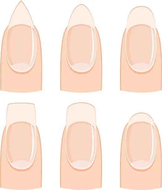 Vector illustration of Nail shapes