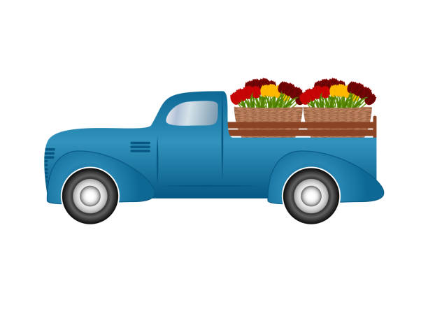 istock Classic pickup truck car transporting flowers, vector illustration 1687370009