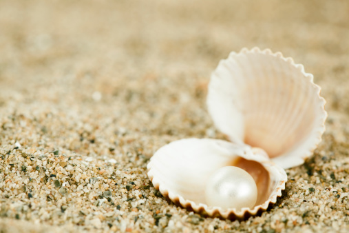 Seashell on the beach. Seascape background of empty sand beach, seashell, and blue ocean waves. Summer, vacation concept, copy space for the text