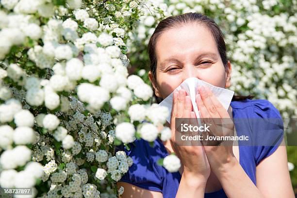 Allergische Frau Mit Taschentuch Niesen Stockfoto und mehr Bilder von Allergie - Allergie, Augen geschlossen, Eine Frau allein