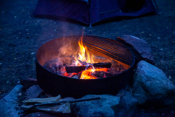 istock Fire ring with logs burning in the evening at a Minnesota state forest campground 1687403558