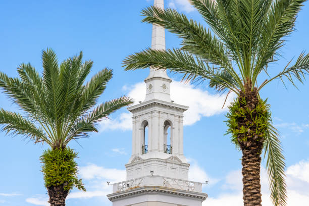 Tropical palm trees in front of a white church steeple and a pretty sky.