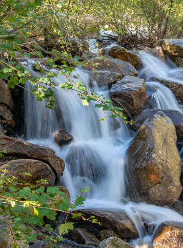 Waterfall in high mountain stream in central Colorado in western USA of North America.