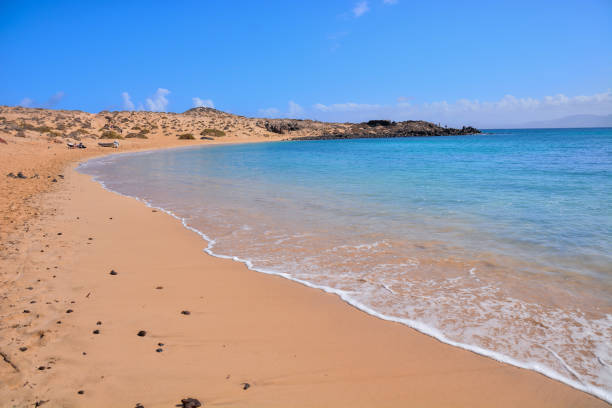 istock Landscape in Tropical Volcanic Canary Islands Spain 1687527648
