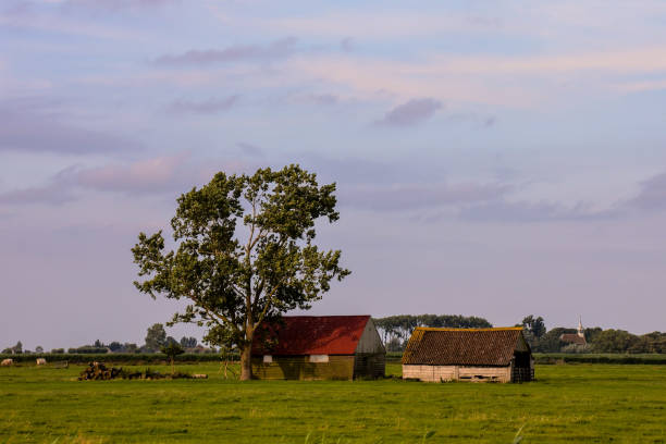 istock European natural countryside 1687527688