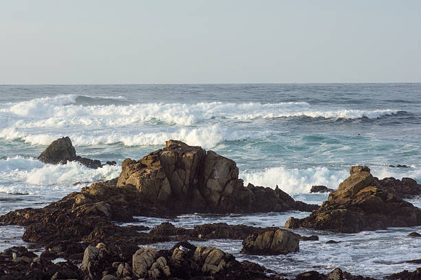 istock HDR Rocky Coastline Along the 17 Mile Drive 168759247