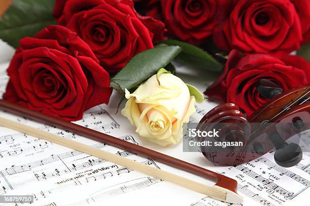 Red And White Roses Stock Photo - Download Image Now - Horizontal, Musical Note, No People