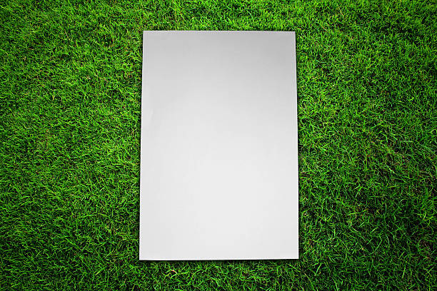 istock Paper on green grass field 168762972