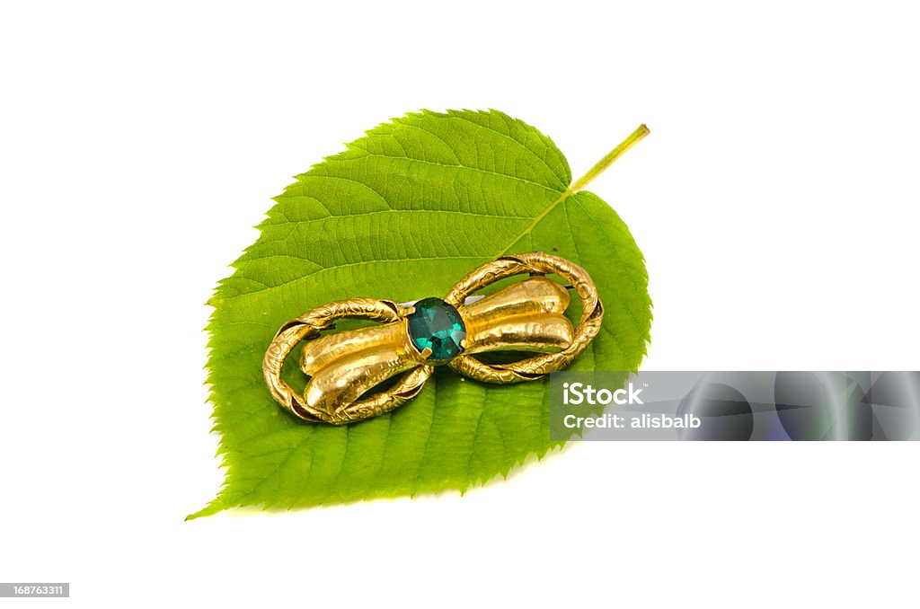 Broche sobre verde árbol colorido con hojas aisladas - Foto de stock de Accesorio personal libre de derechos