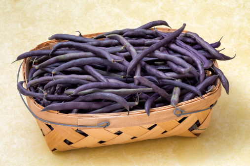A basket of purple hull peas on a yellow Formica table top. Purple hull peas, a member of the southern pea family, are a good source of protein and dietary fiber available.  They are also very high in folate, a form of B vitamin. 