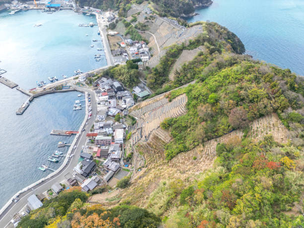 istock Usumizugaura farm 1687640532