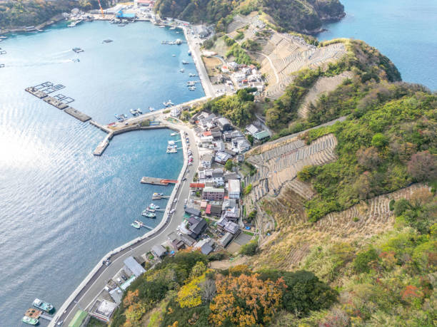 istock Usumizugaura farm 1687641078