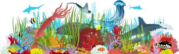 Vector illustration of Vector underwater coral reef illustration. Undersea with colorful tropical fishes, squid, hammerhead shark and Jellyfish