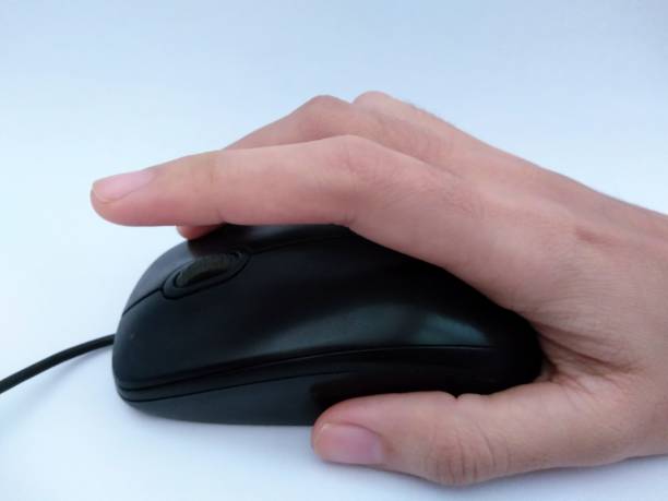istock The mouse is a pointing device used to enter data and commands into the computer other than the keyboard 1687694255