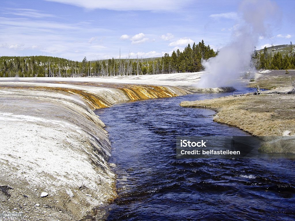 Aérations à vapeur sur la Rivière Yellowstone - Photo de Allée couverte de planches libre de droits