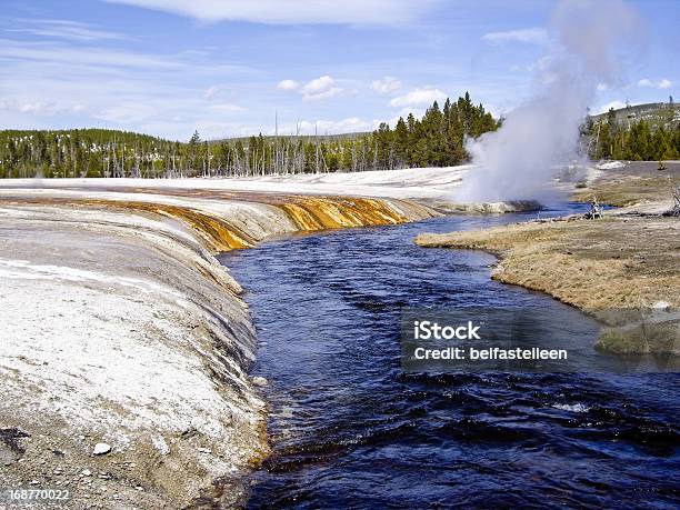 Photo libre de droit de Aérations À Vapeur Sur La Rivière Yellowstone banque d'images et plus d'images libres de droit de Allée couverte de planches - Allée couverte de planches, Arbre, Chaleur